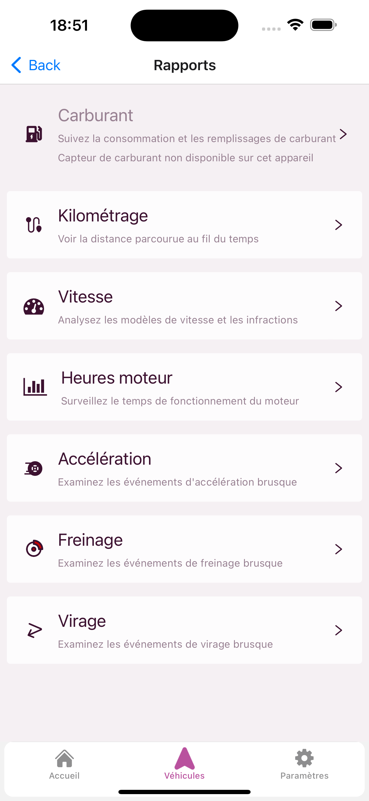 Report dashboard overview